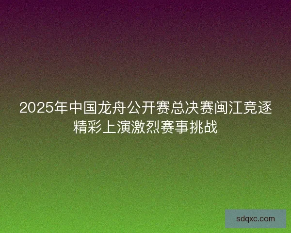2025年中国龙舟公开赛总决赛闽江竞逐精彩上演激烈赛事挑战